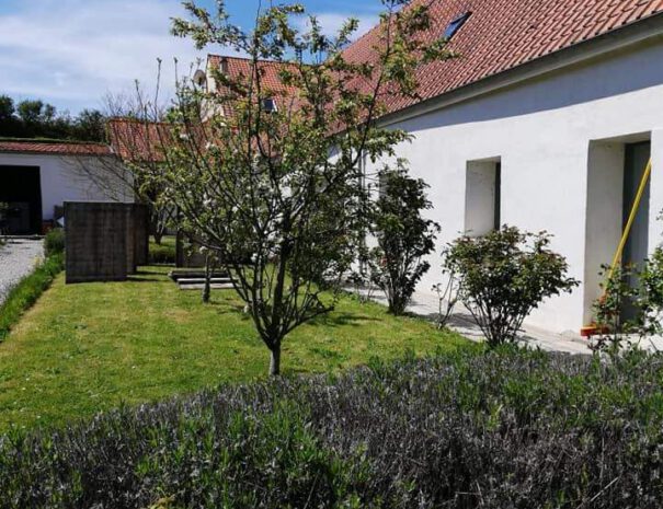 facebook_1661103606064_6967173499332521427