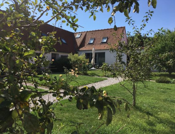 facebook_1661103950590_6967174944376288662